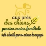 Aux prés des chiens